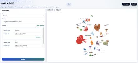 Upload and reference preview