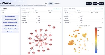 Marker networks and imputed modalities