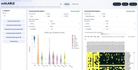 Expression and marker heatmaps